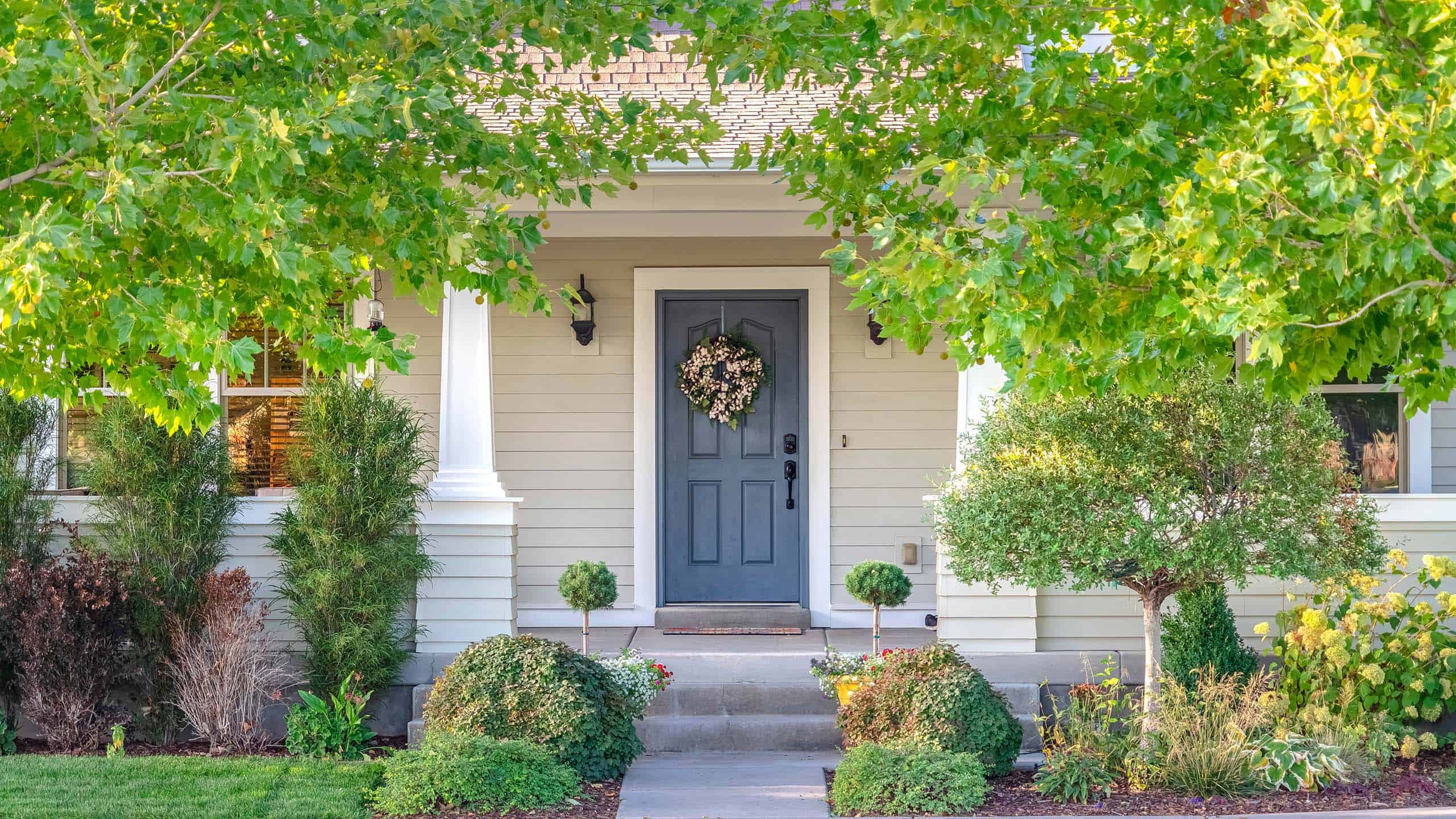 Door
