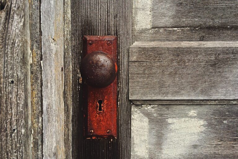 23 Best Door Knobs in 2023 – By Door Digest